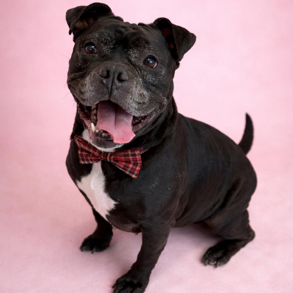 Gertrude — thumbnail 2