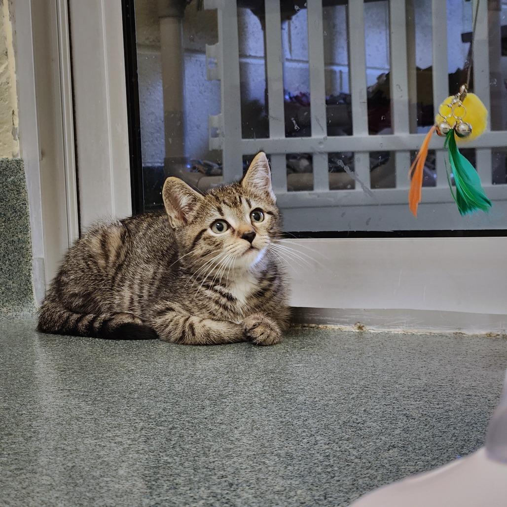 Iceberg — thumbnail 3