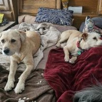 Bexley And Layken : thumbnail 5