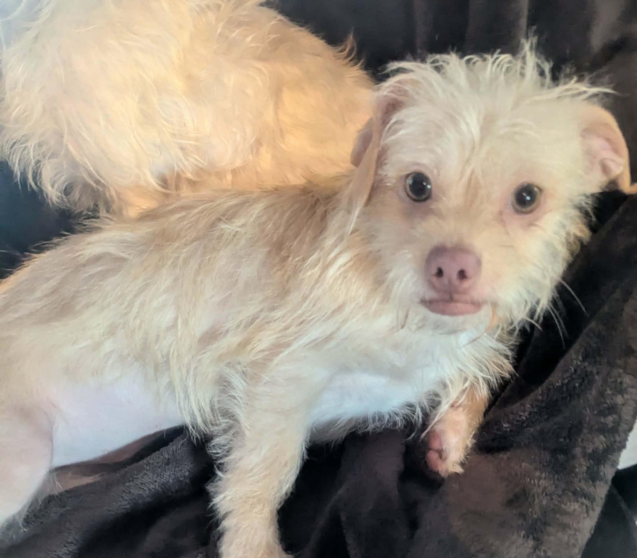 Ella Bug thumbnail 2