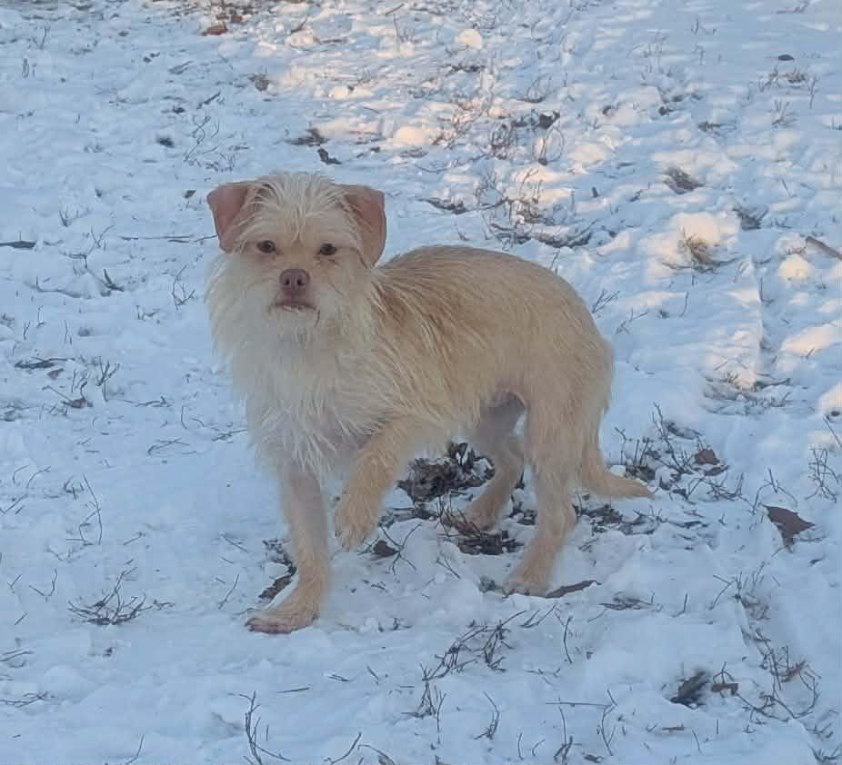 Ella Bug thumbnail 5