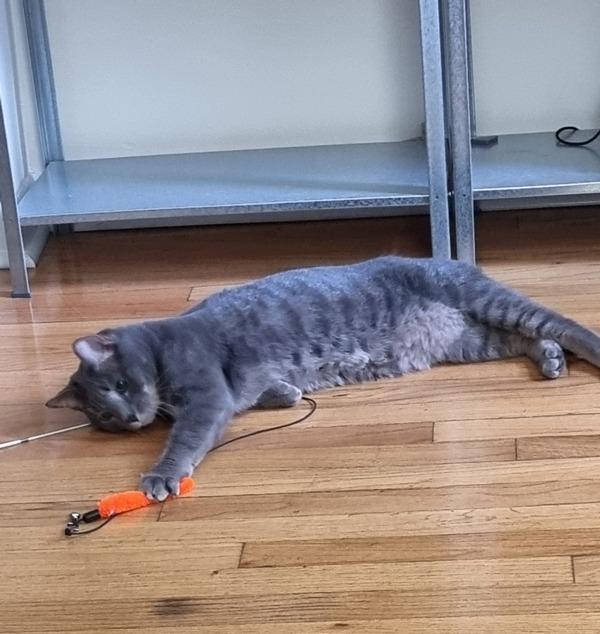 Harmony — thumbnail 3