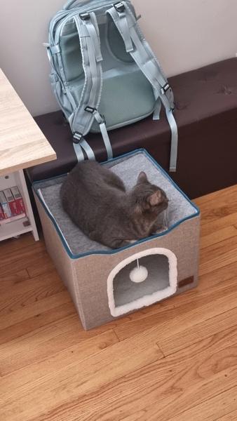 Harmony — thumbnail 6