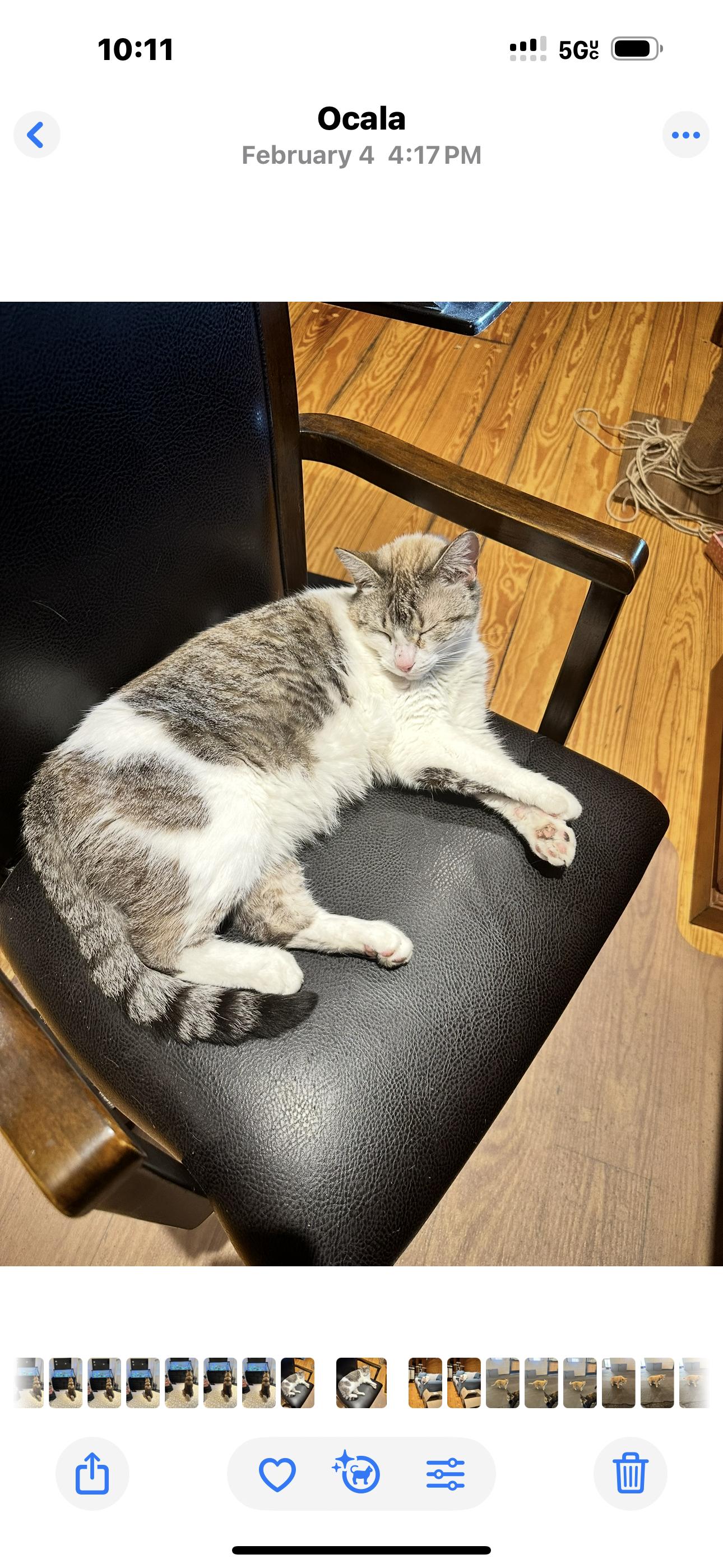 Marshmellow thumbnail 4