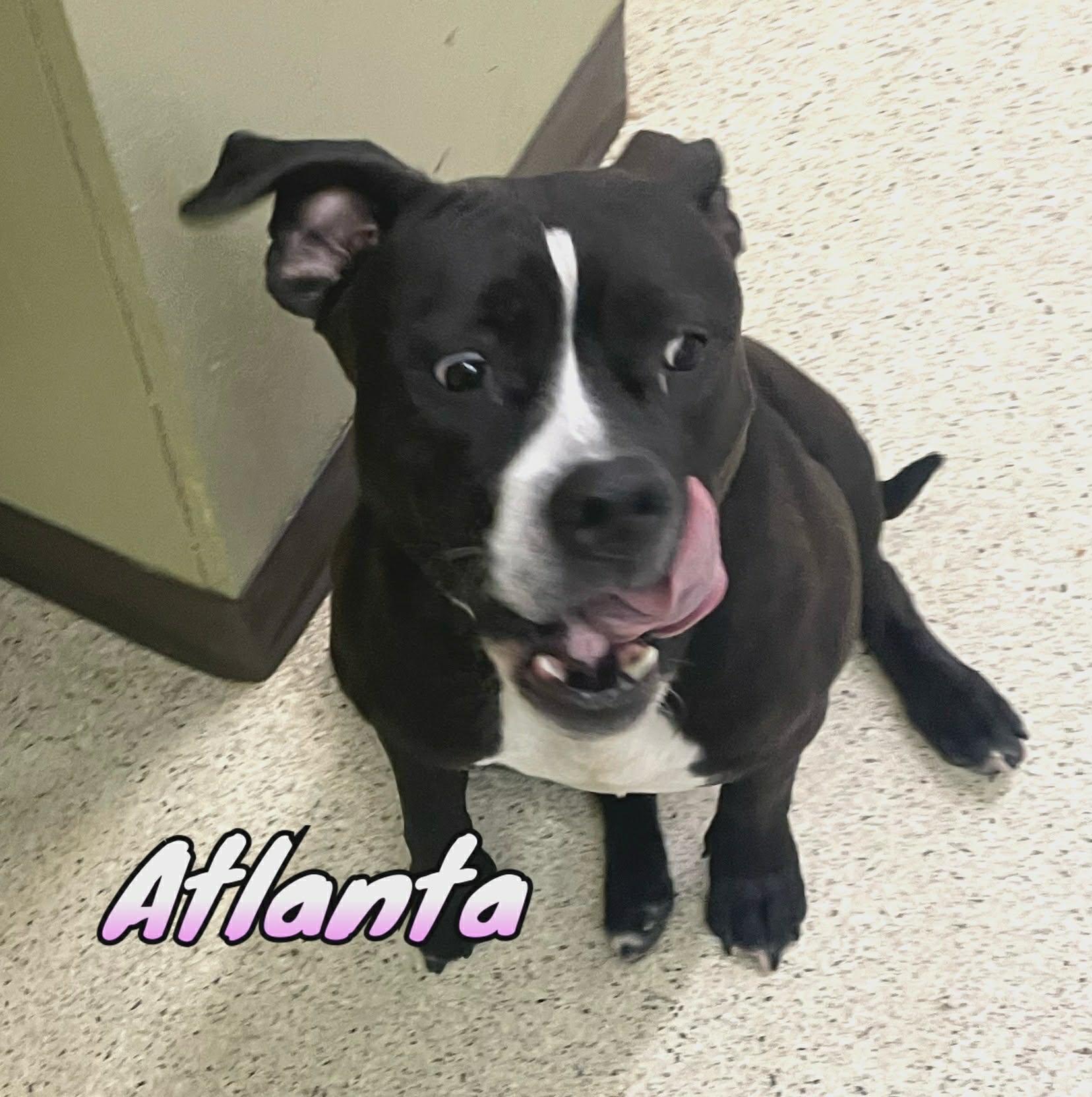 Atlanta — thumbnail 2