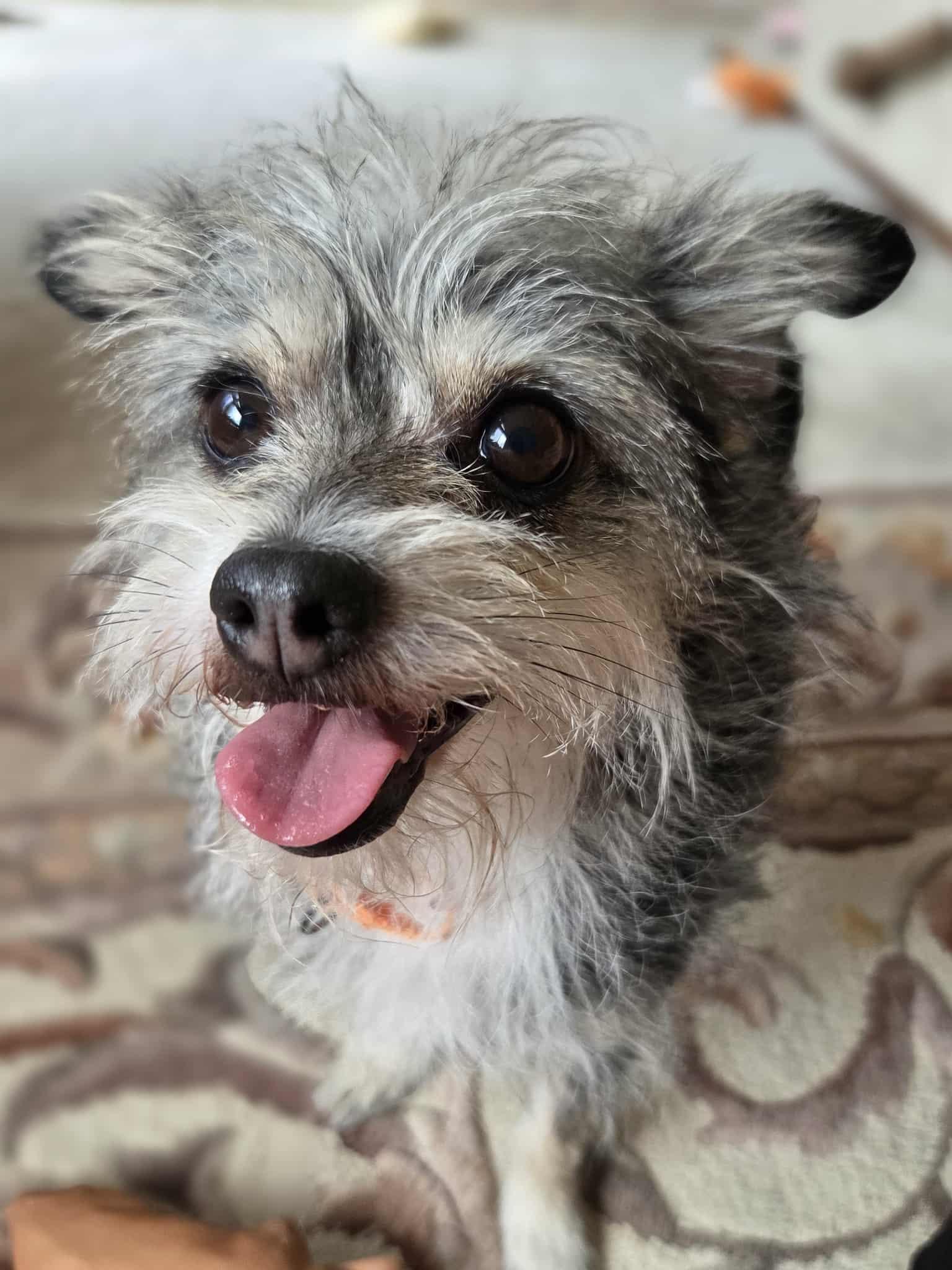 Molly