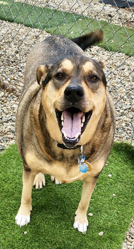 Roxy photo