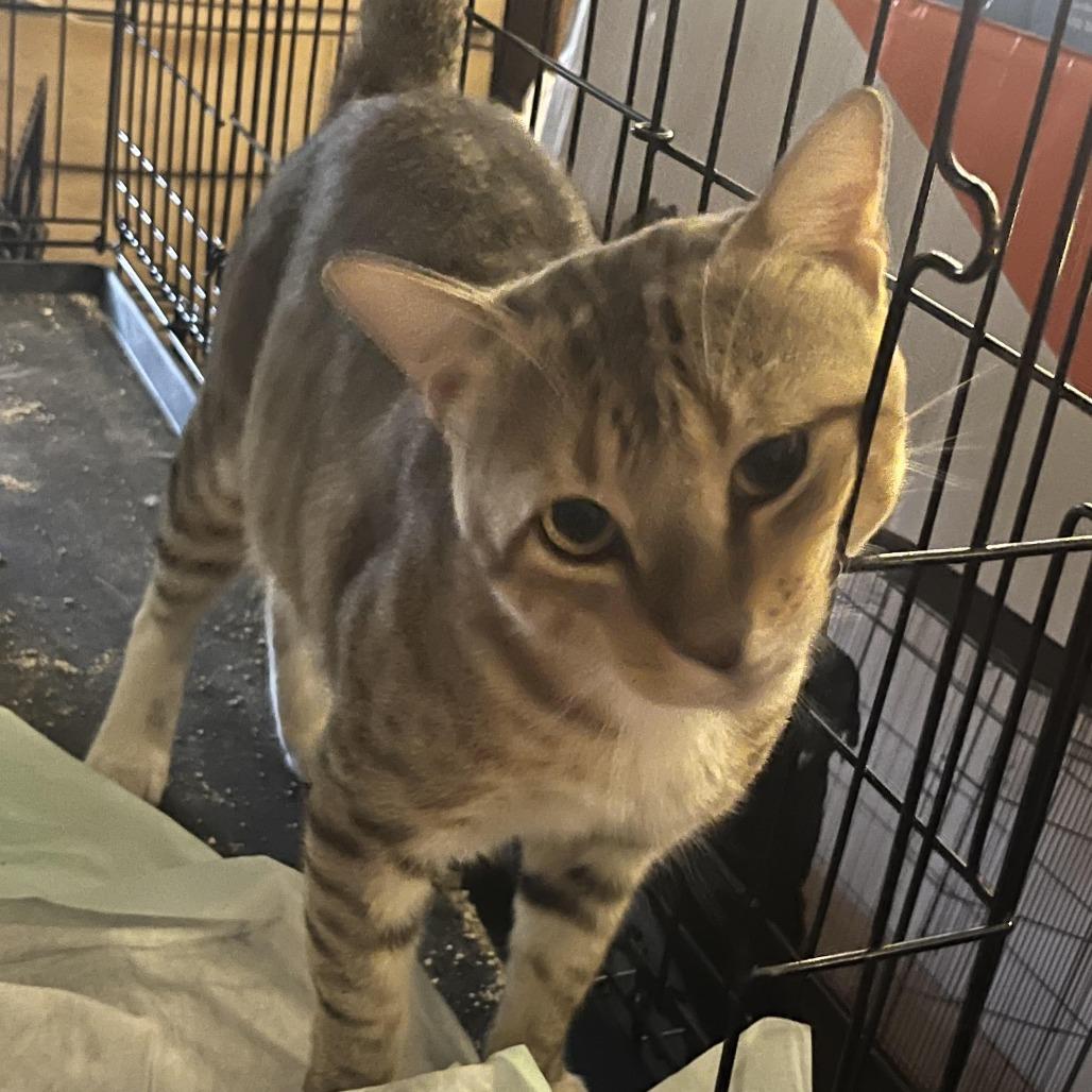 Mr I Go Sp thumbnail 5