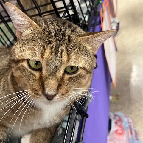 Mr I Go Sp thumbnail 6