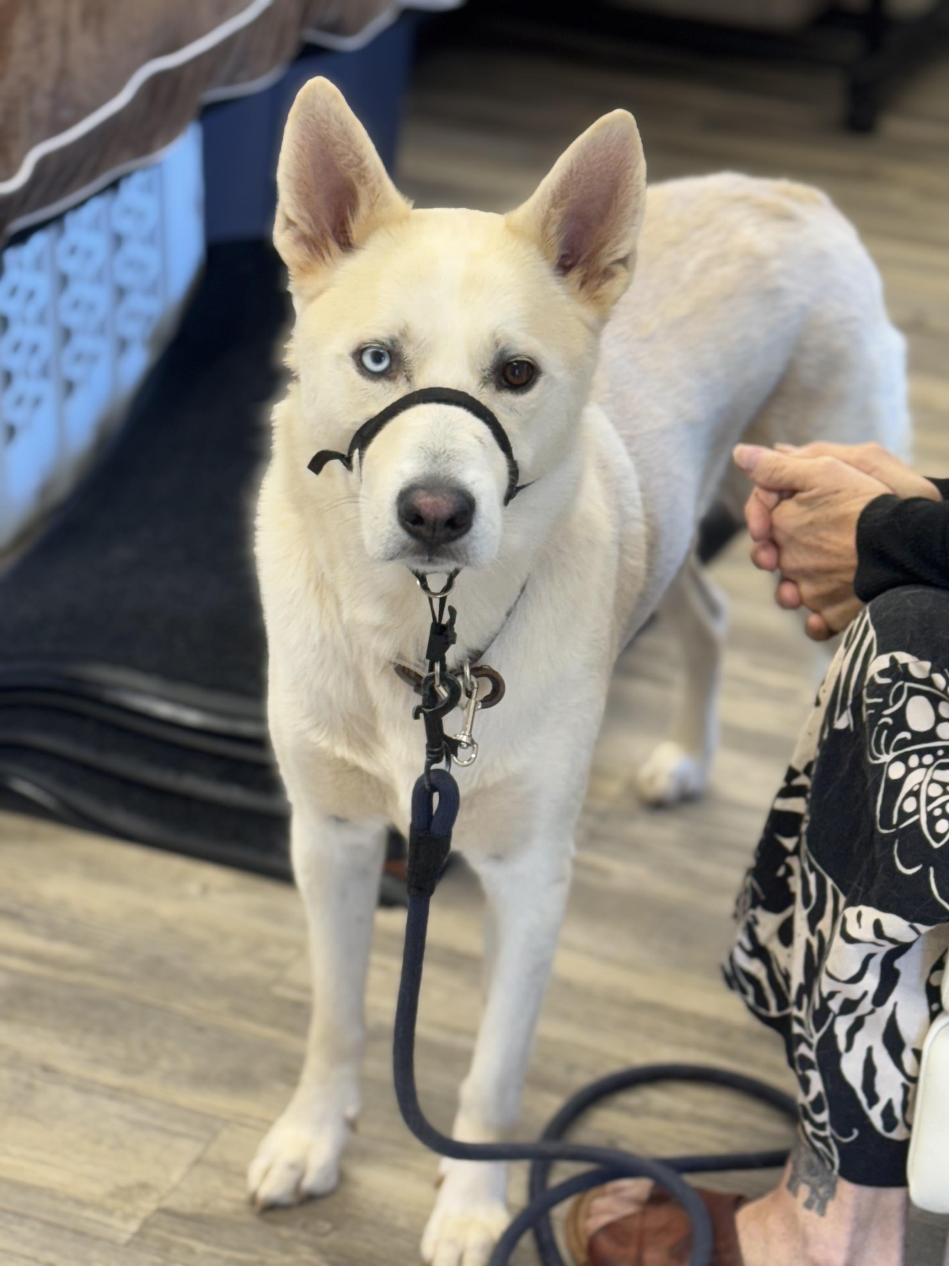 Winter 0125 — thumbnail 3