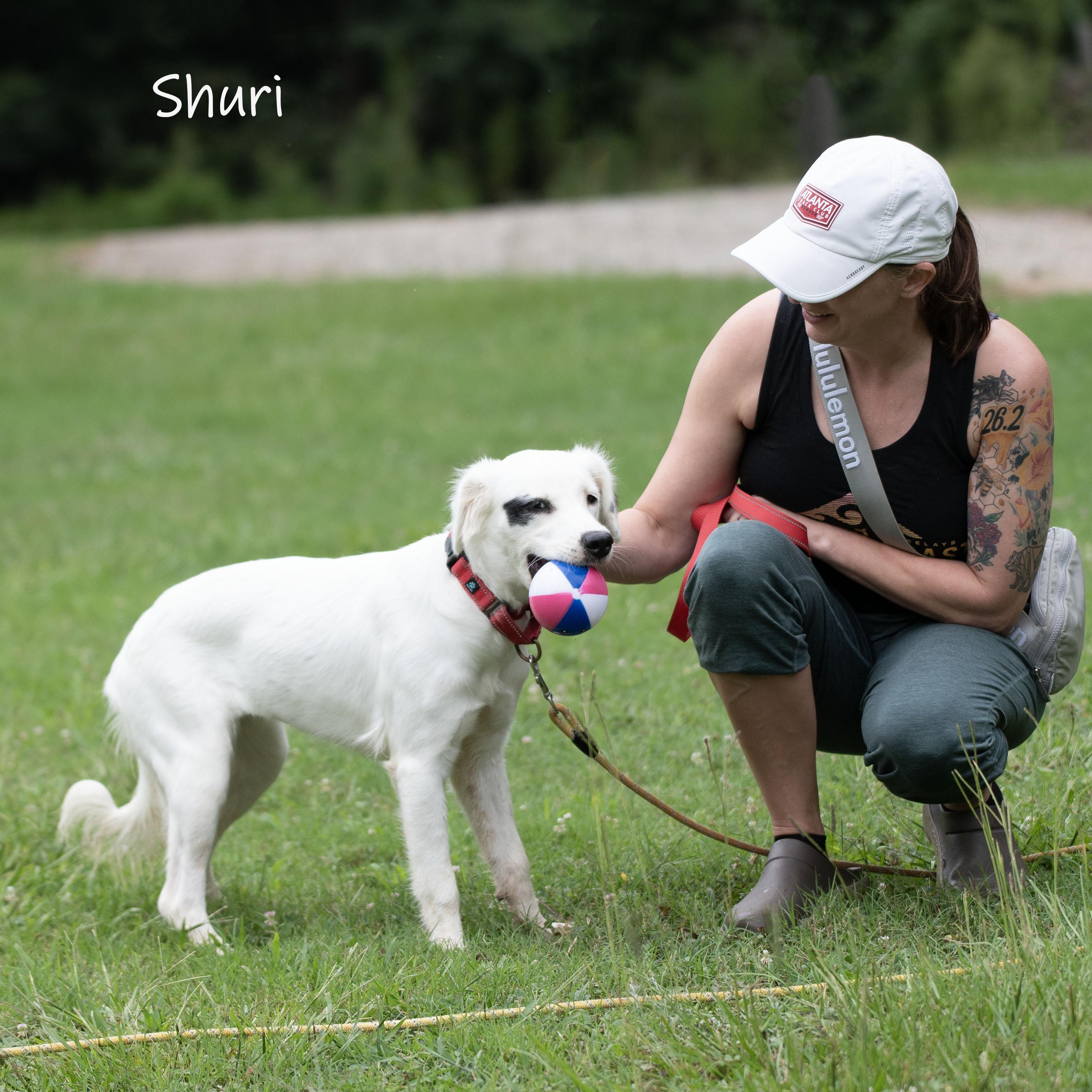 Shuri, an adopted mixed breed in Bishop, GA image 3/6