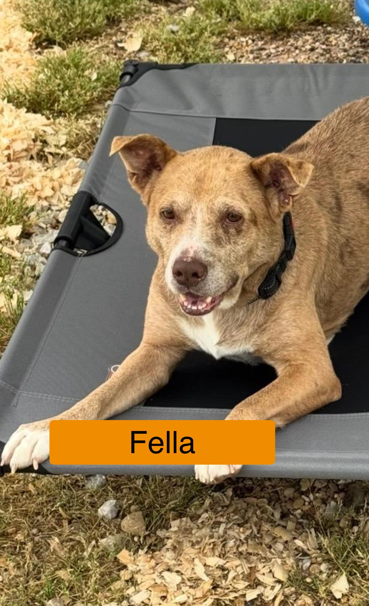 Fella