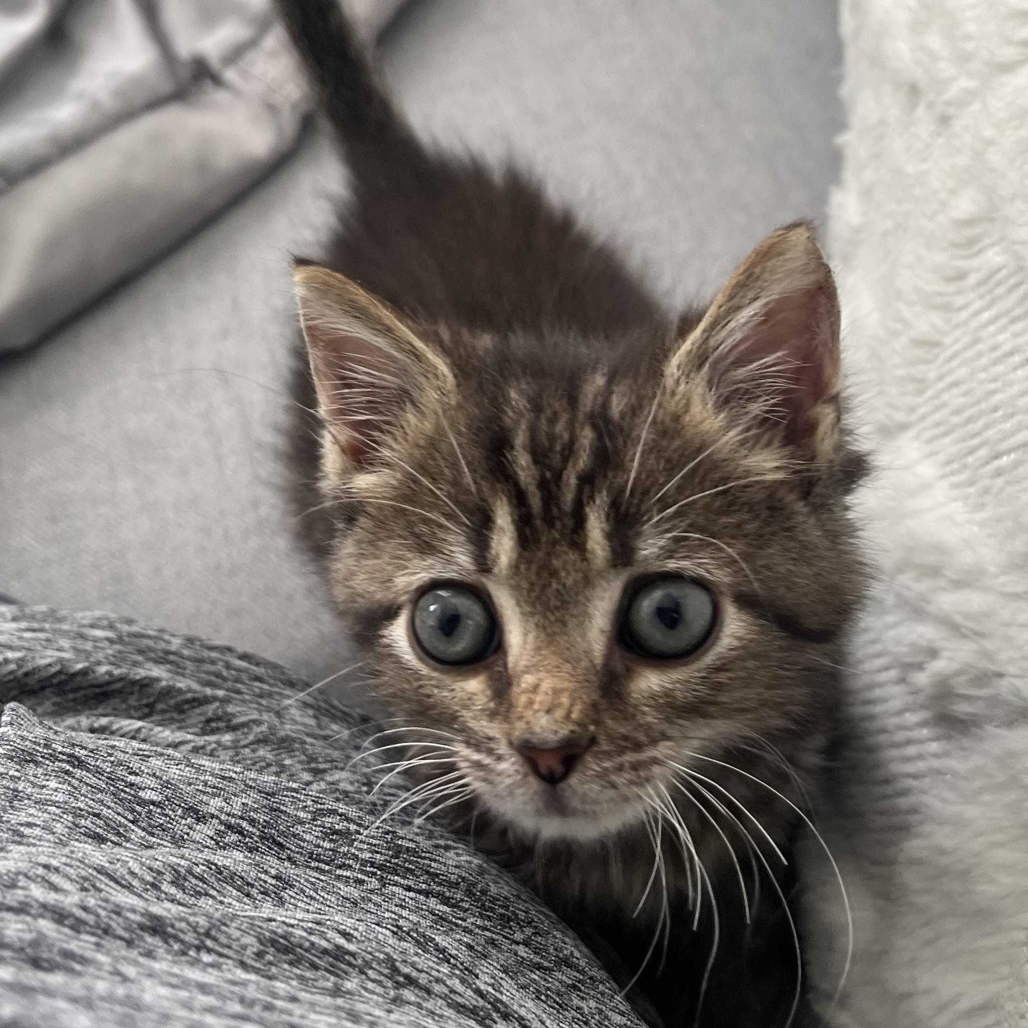 Eric-Our Tiny Ball of Sunshine