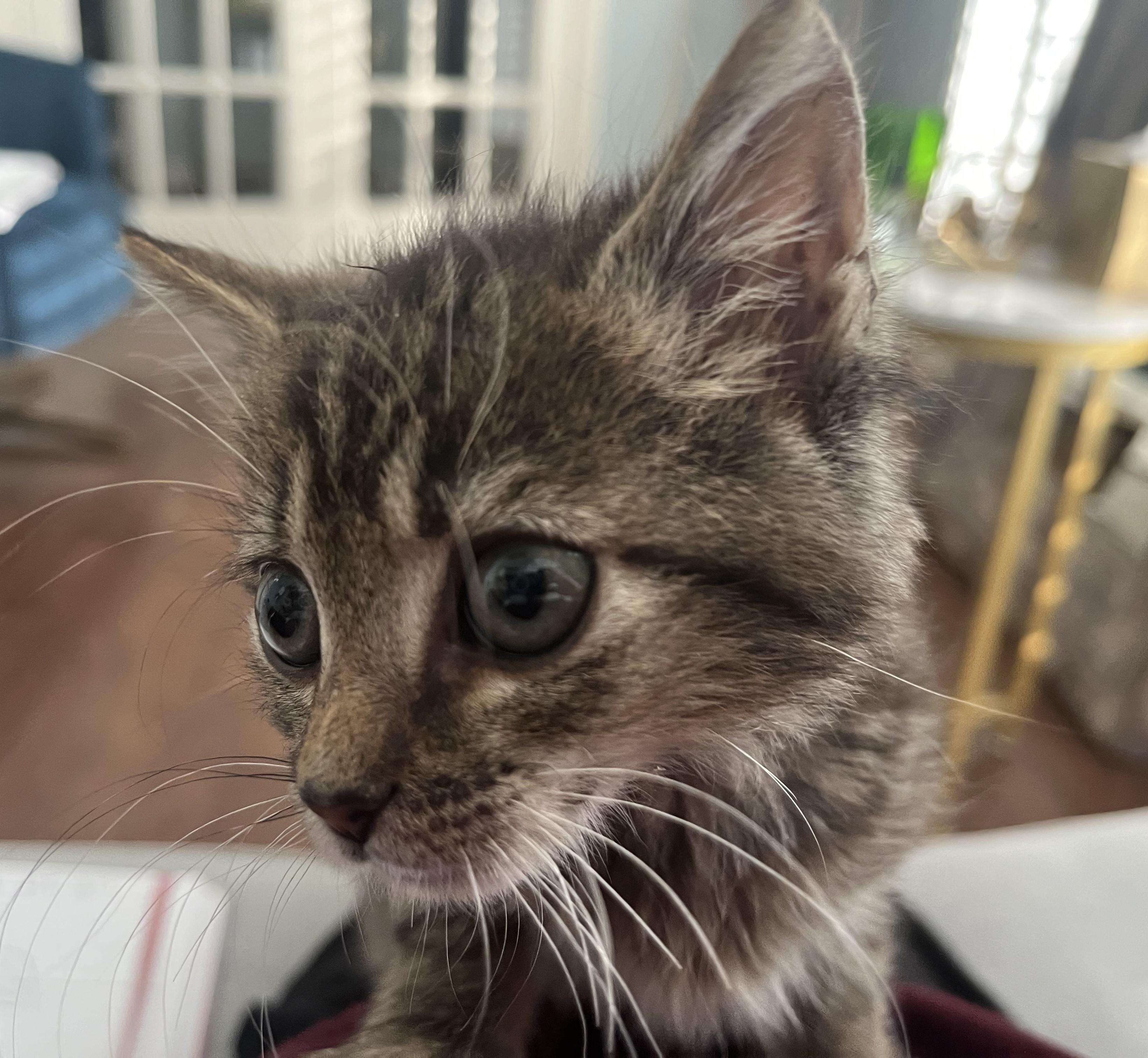 Eric-Our Tiny Ball of Sunshine