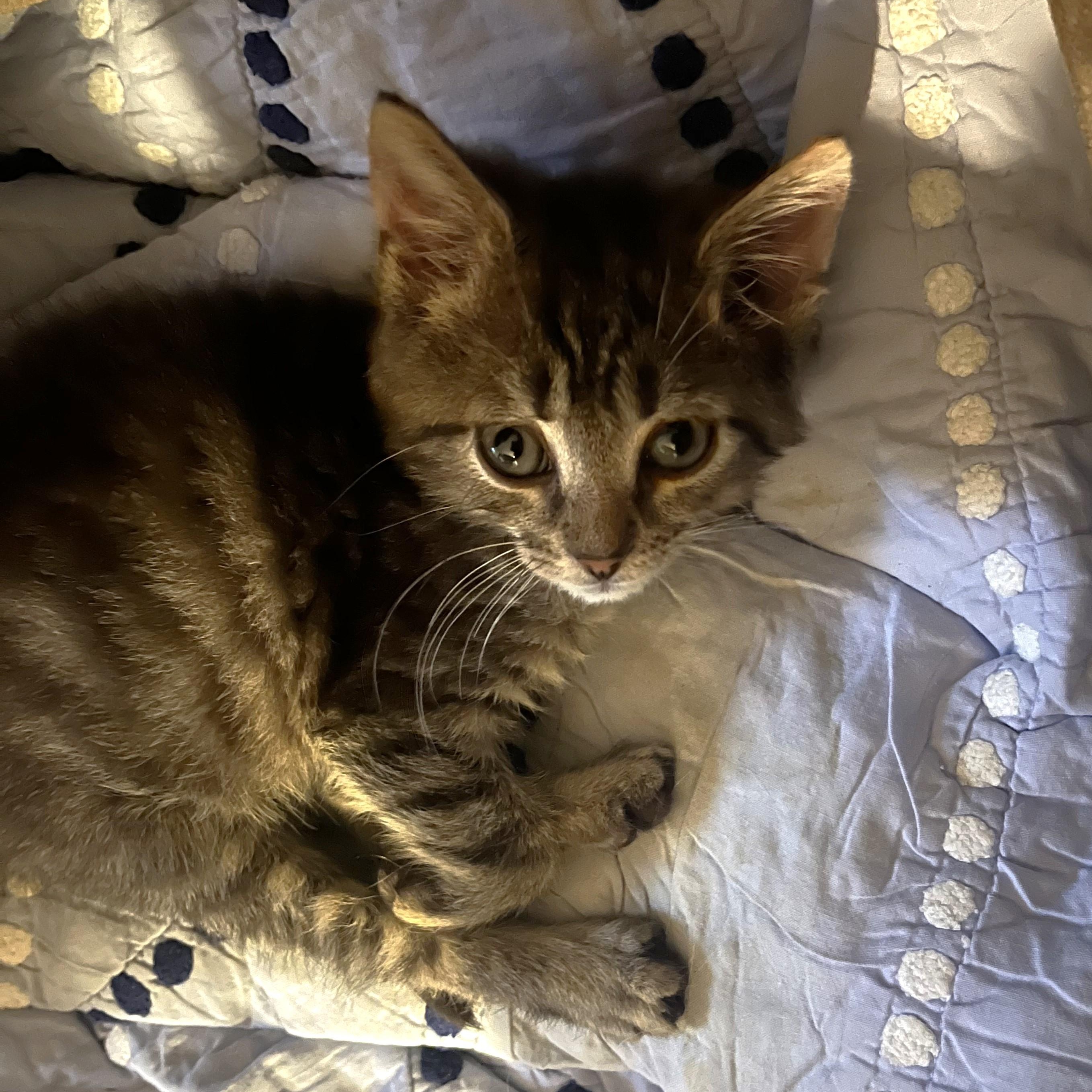 Eric-Our Tiny Ball of Sunshine