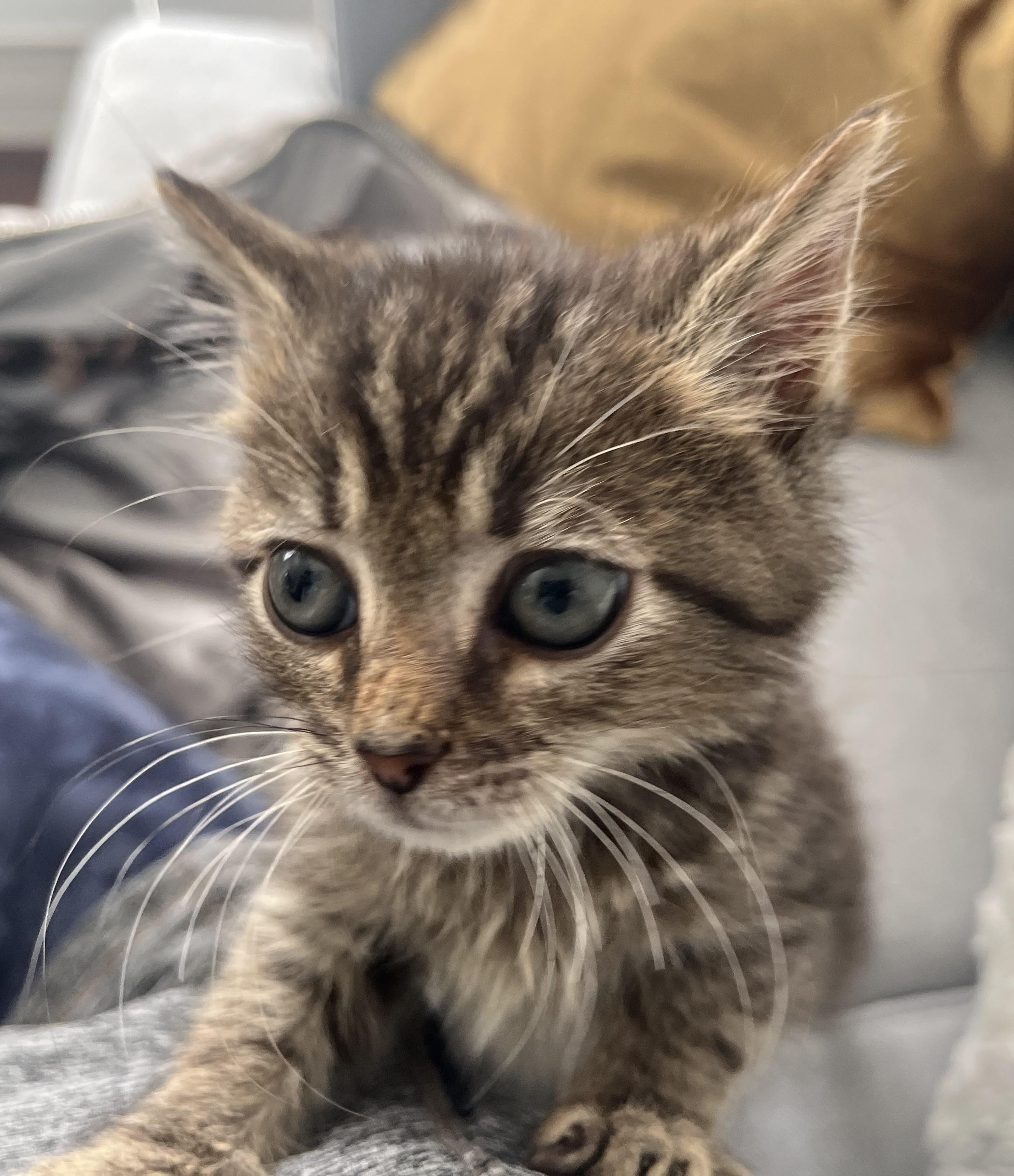 Eric-Our Tiny Ball of Sunshine