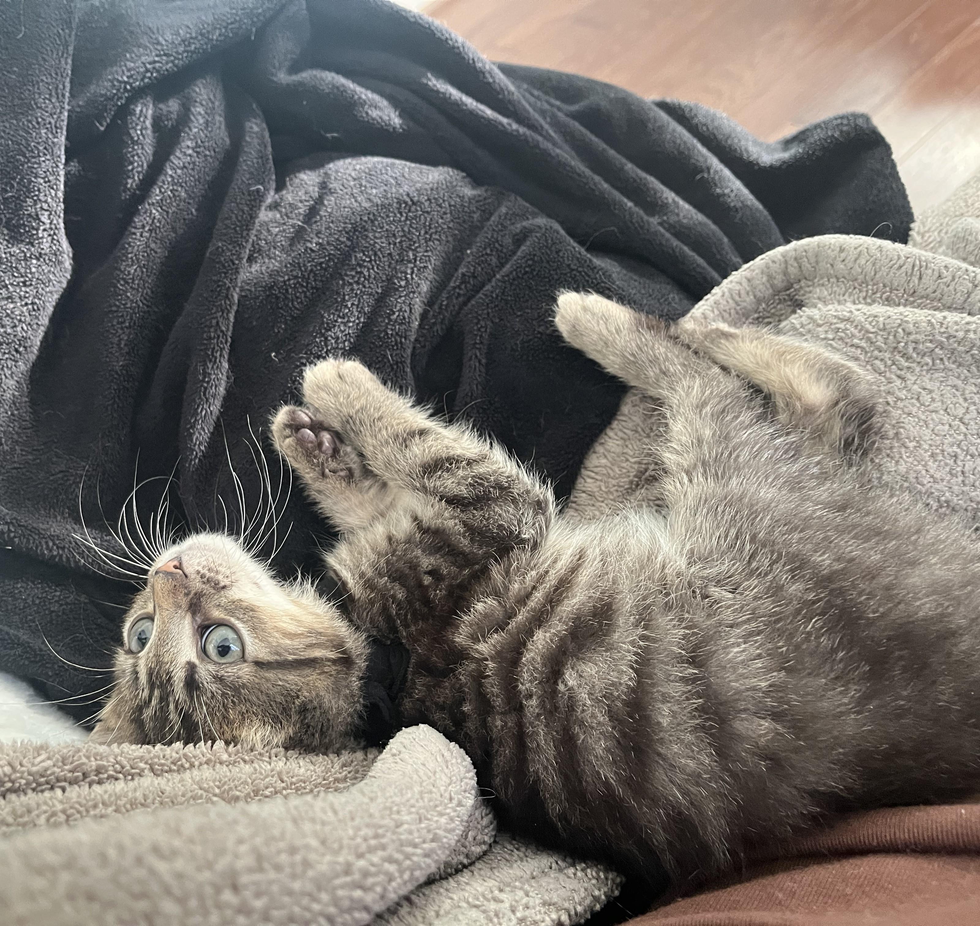 Eric-Our Tiny Ball of Sunshine