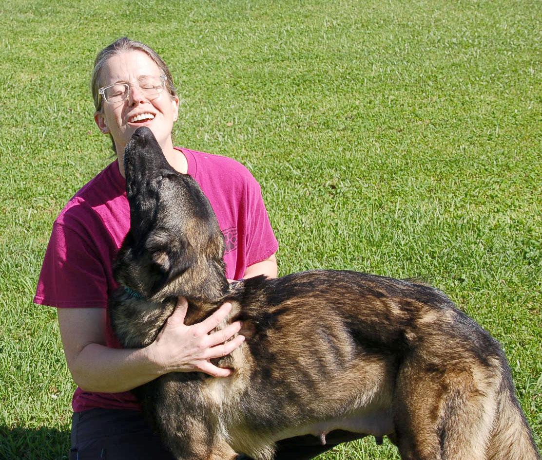FELICIA, a Adoptable German Shepherd Dog in Preston, CT image 2/6