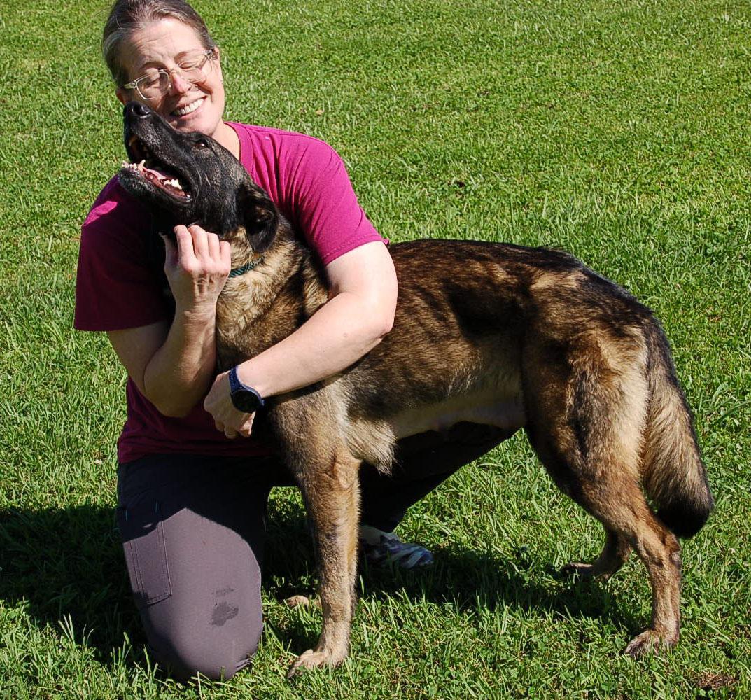 FELICIA, a Adoptable German Shepherd Dog in Preston, CT image 3/6