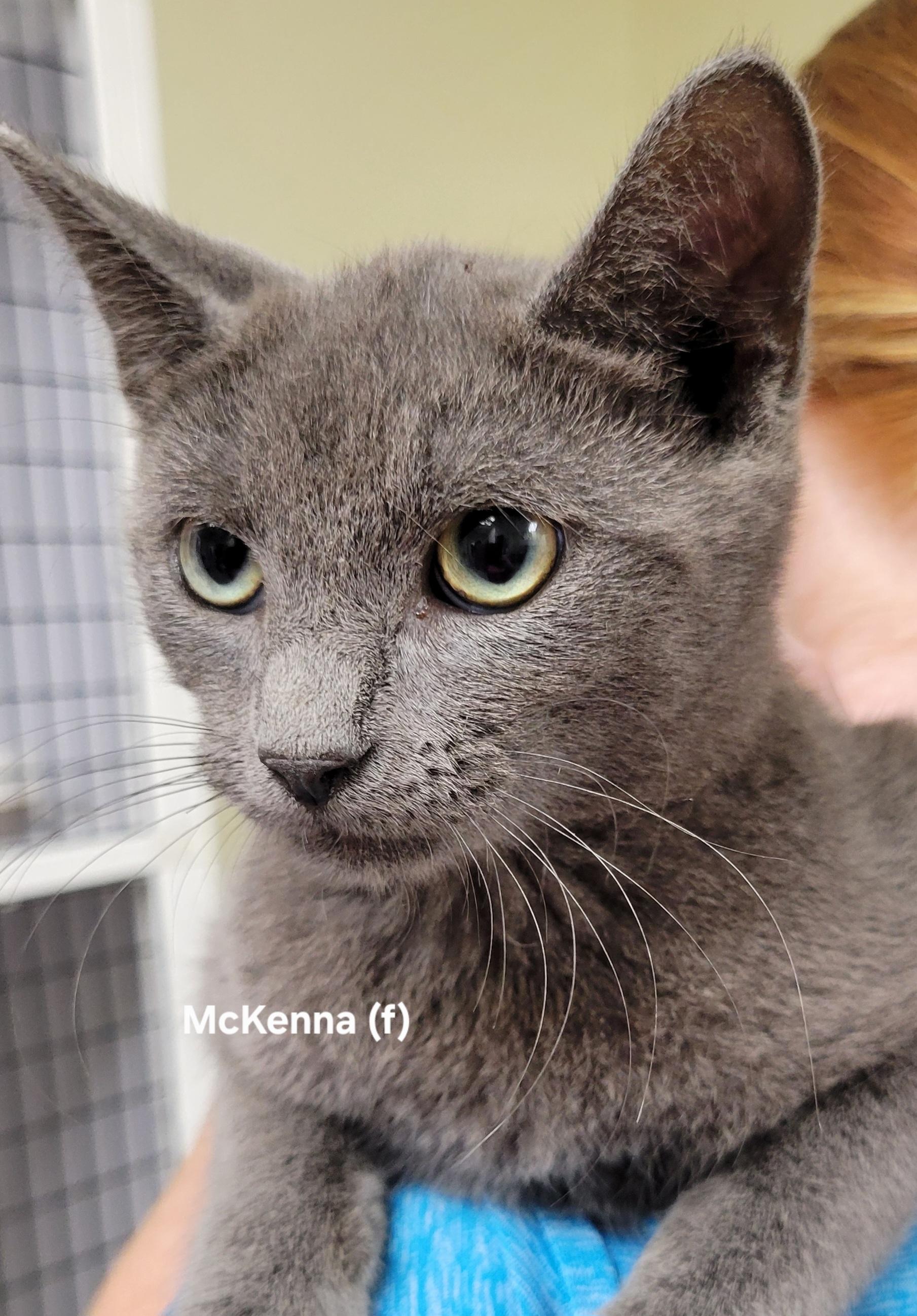 McKenna
