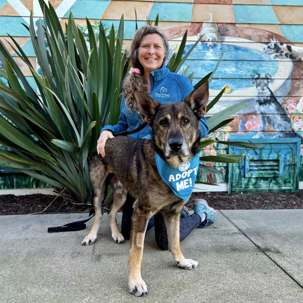 Oscar — thumbnail 3