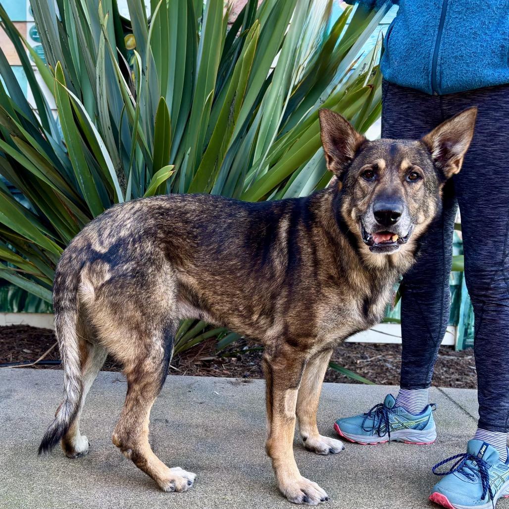 Oscar — thumbnail 5