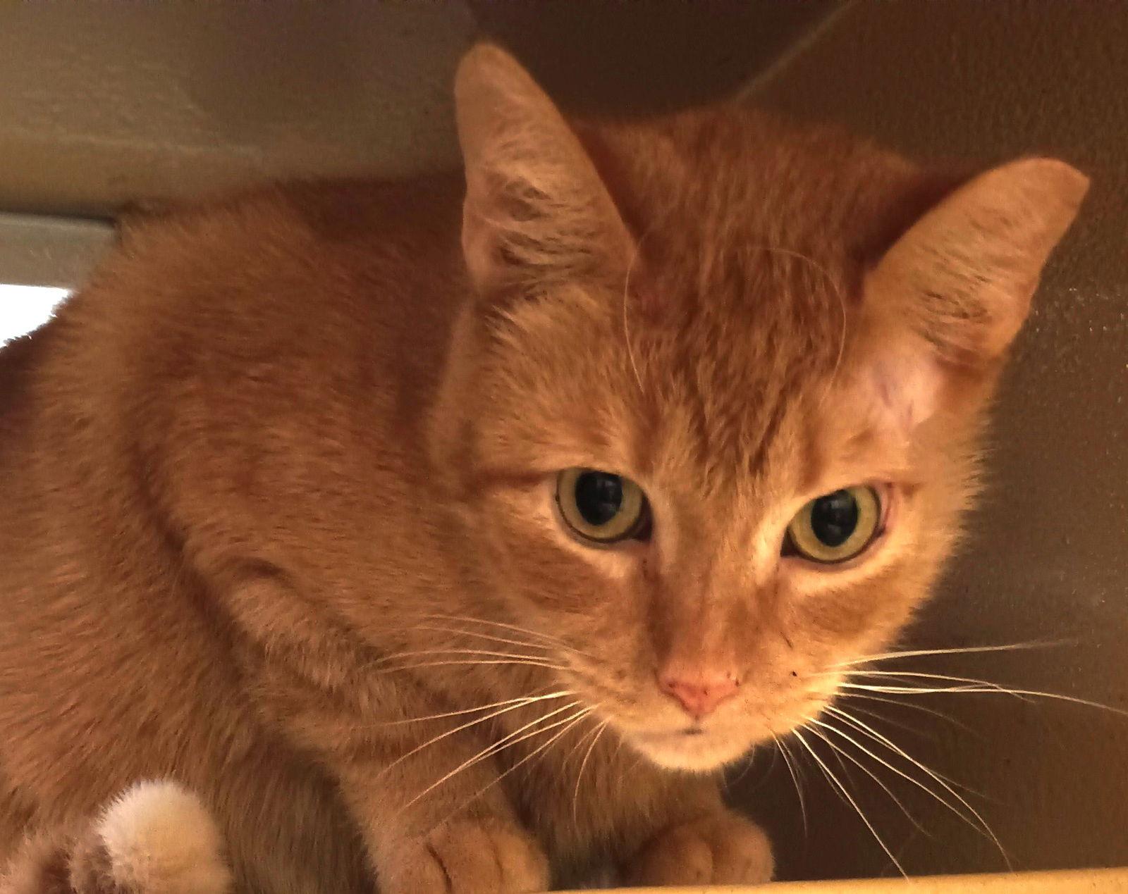 Silvie & Louise *BONDED*