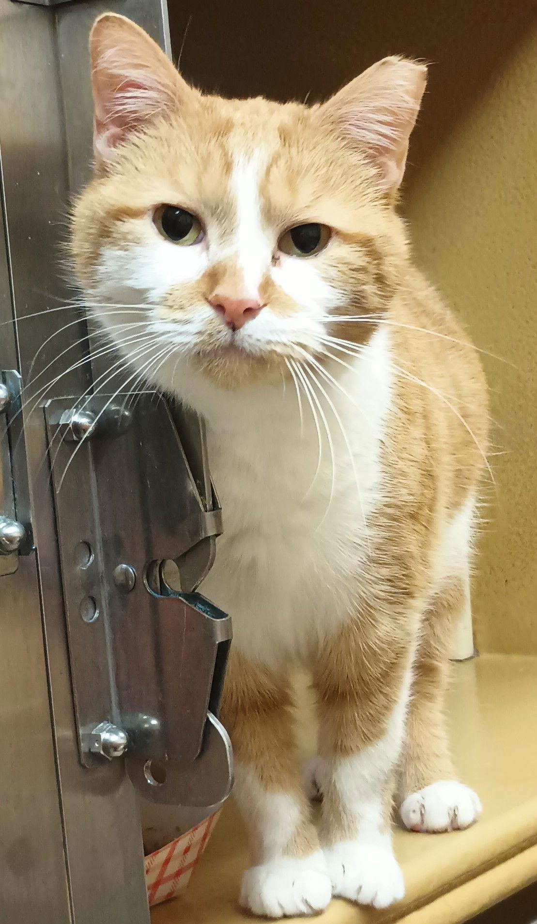 Silvie & Louise *BONDED* — thumbnail 3