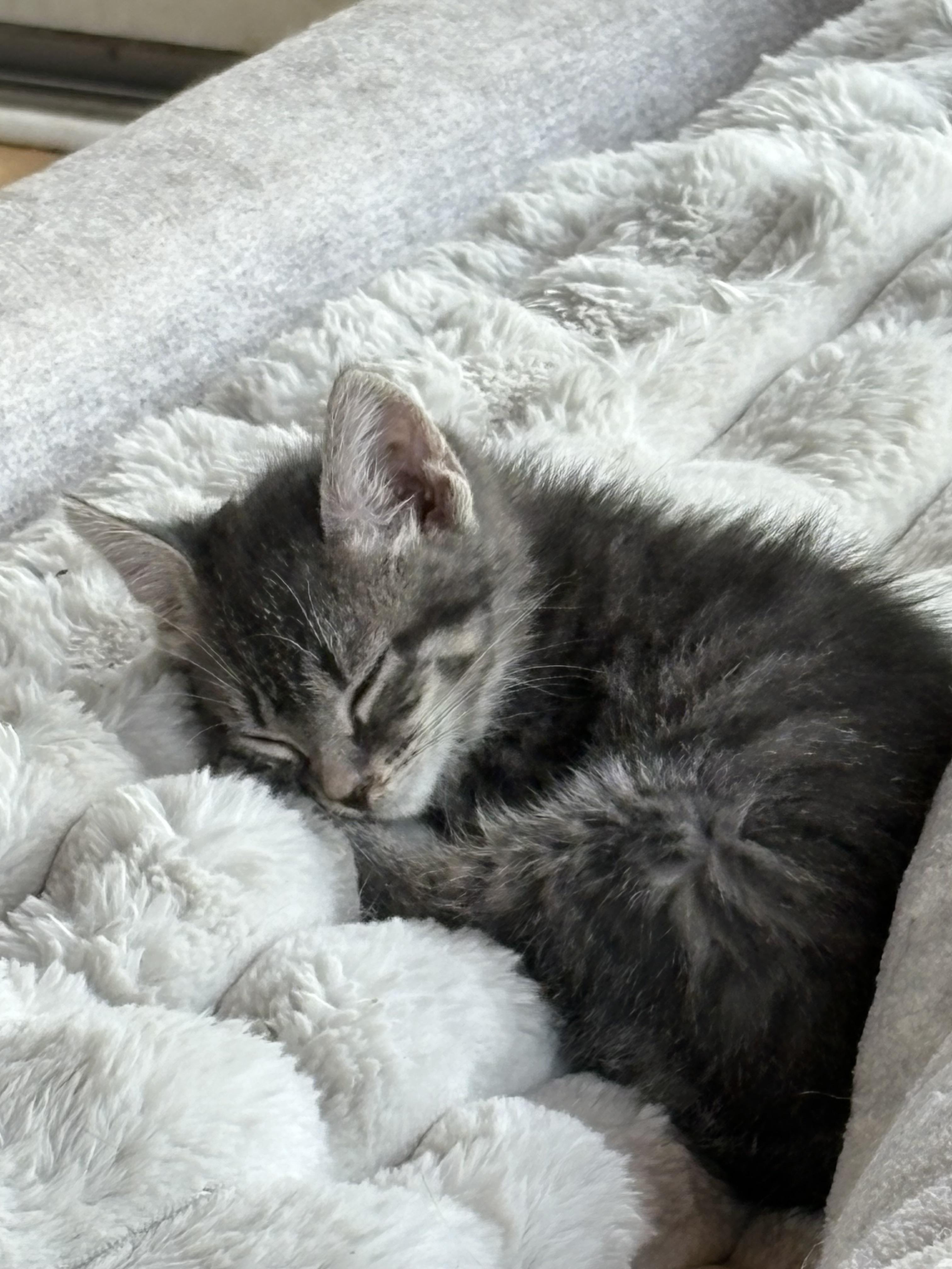 Tigger photo 2