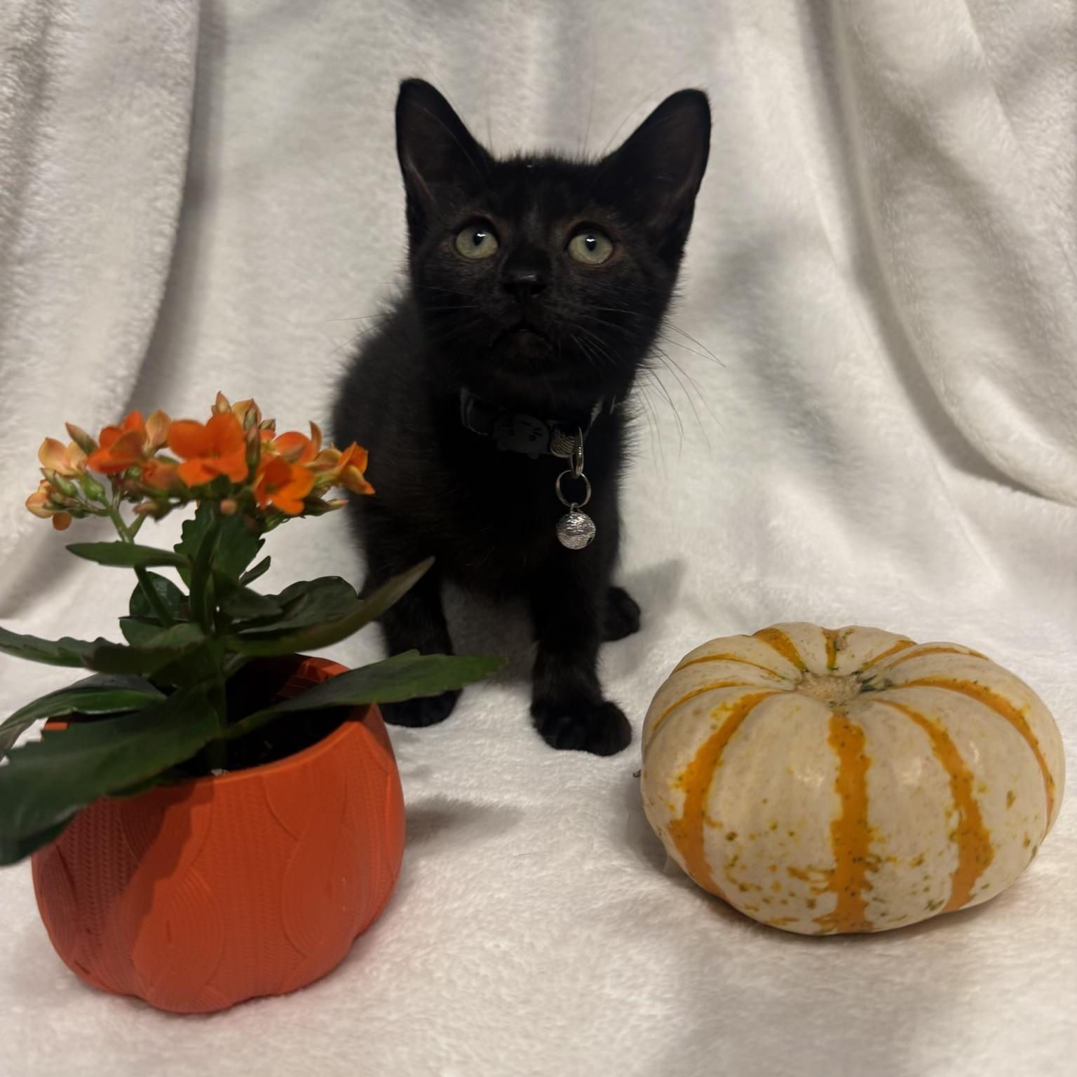 Jenny & Paula BONDED