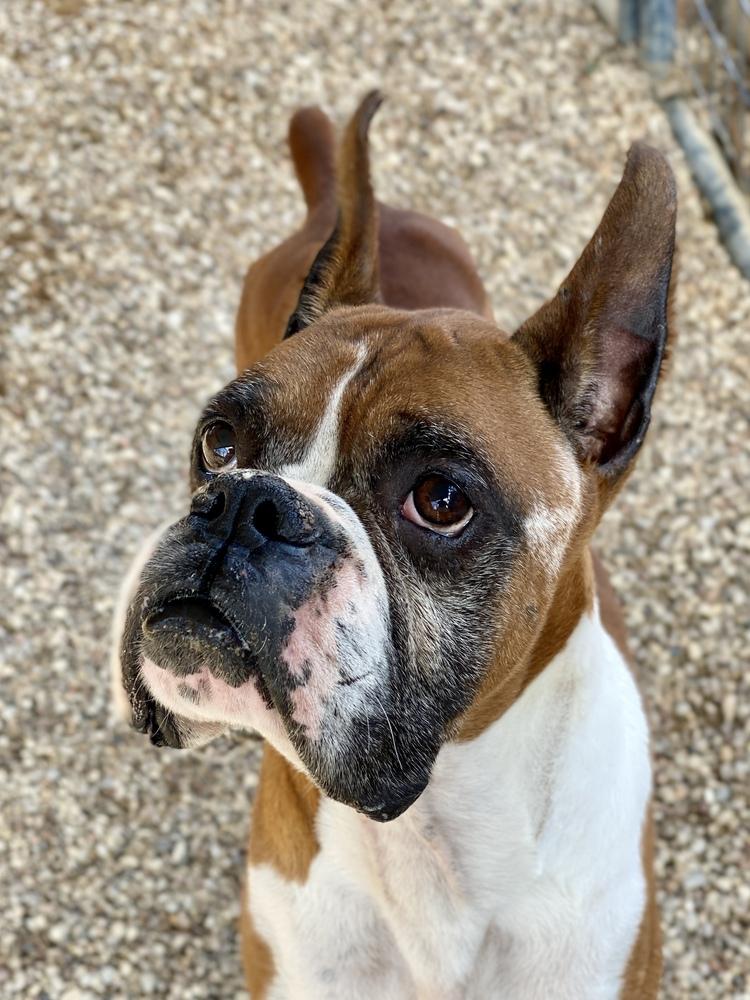 Waterloo — thumbnail 2