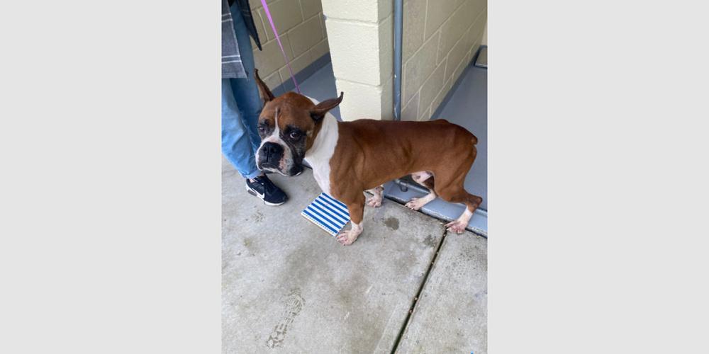 Waterloo — thumbnail 3