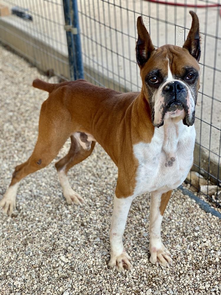 Waterloo — thumbnail 4