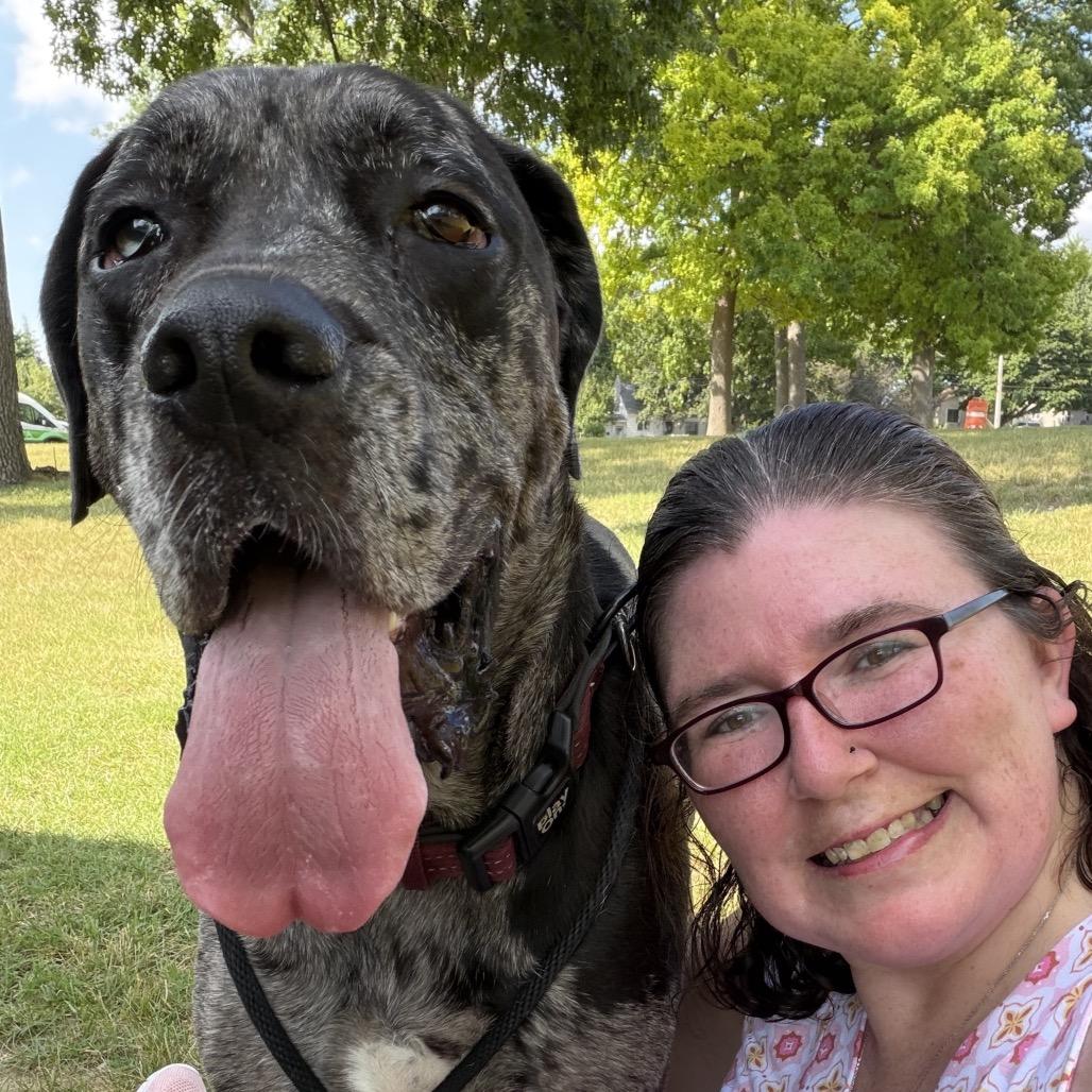 Enlarge Benny, a Adoptable Great Dane in Grand Rapids, MI image 3/6