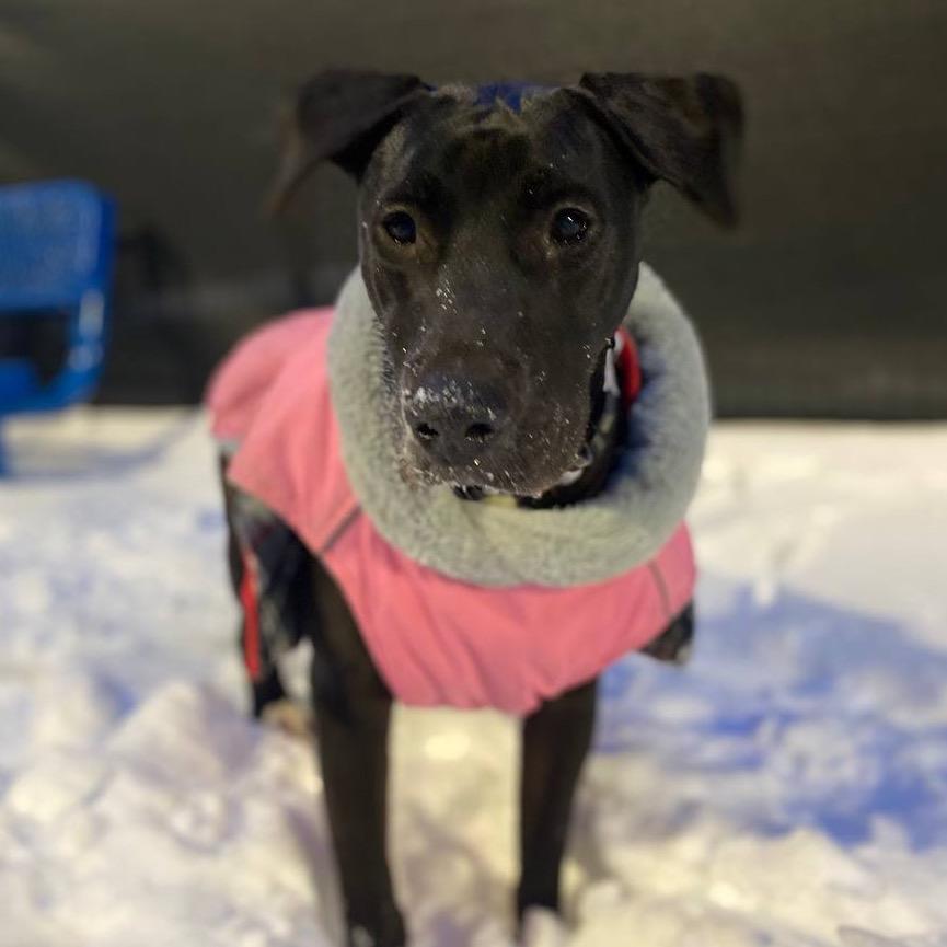 Savannah — thumbnail 5