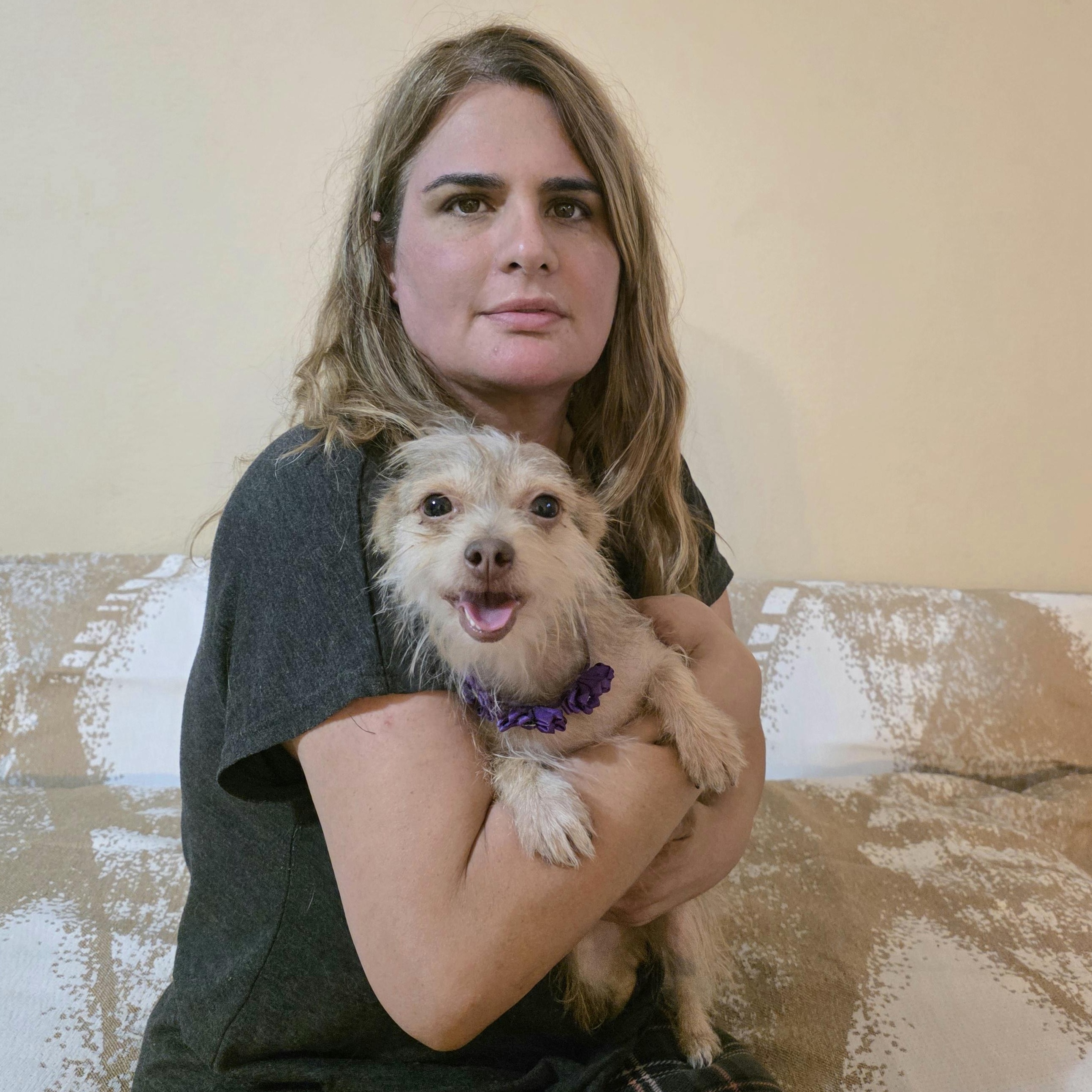 Enlarge Minnie , a Adoptable mixed breed in Canton, MA image 4/6