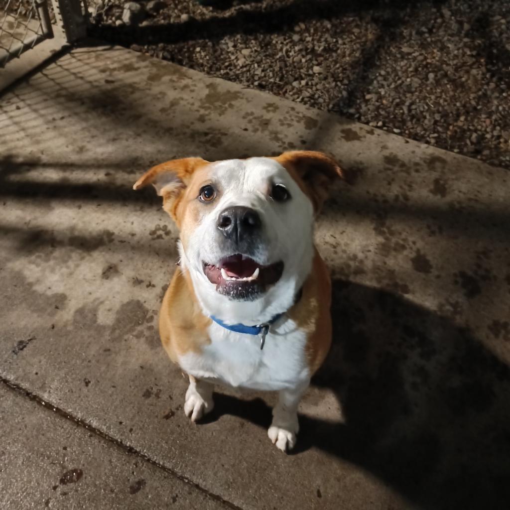 Belinda Carlisle — thumbnail 2