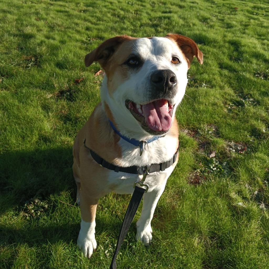 Belinda Carlisle — thumbnail 3