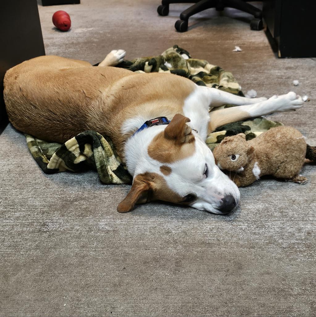 Belinda Carlisle — thumbnail 6