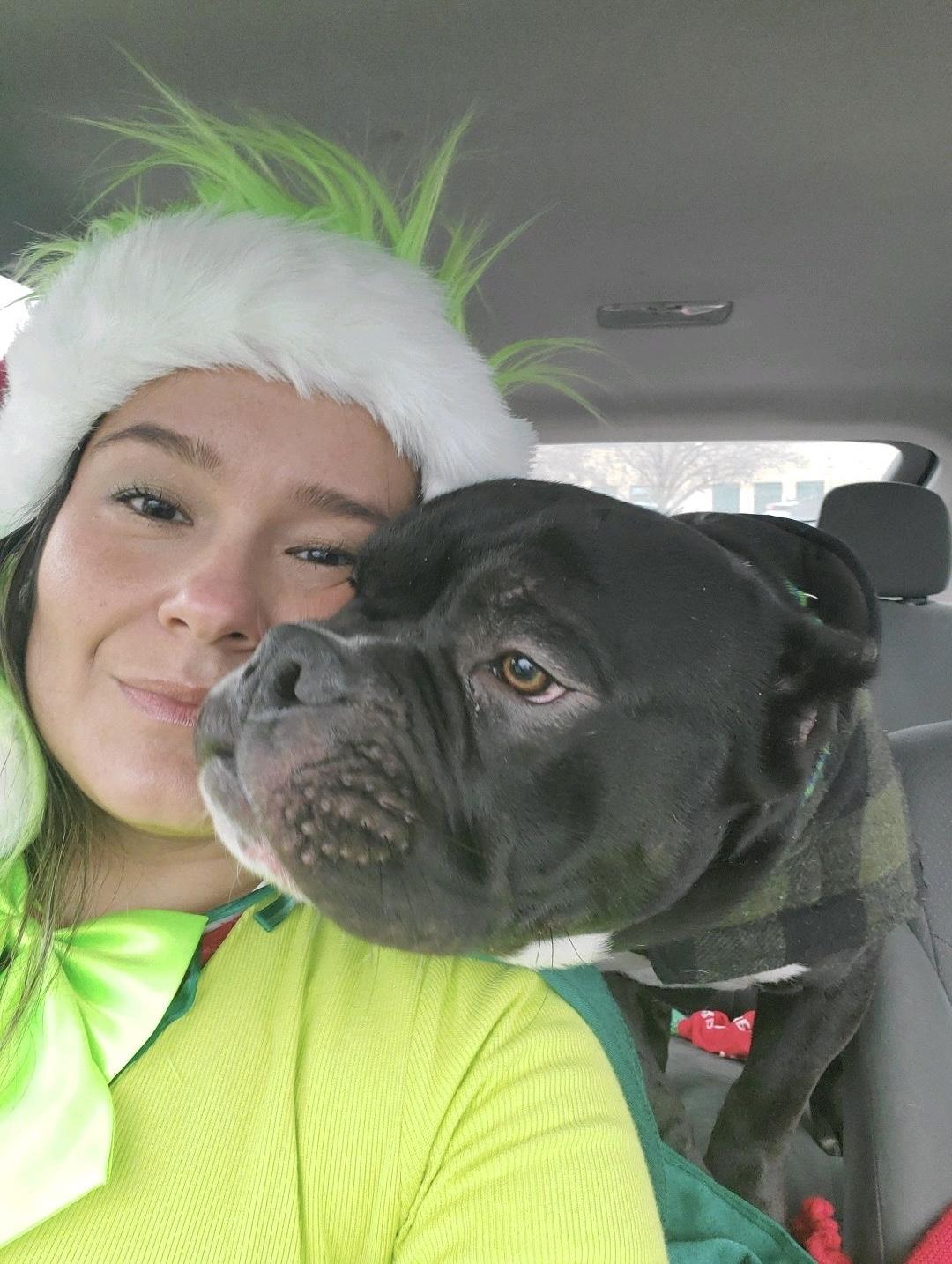 Shadow, a Adoptable mixed breed in Oxford, MI image 3/4