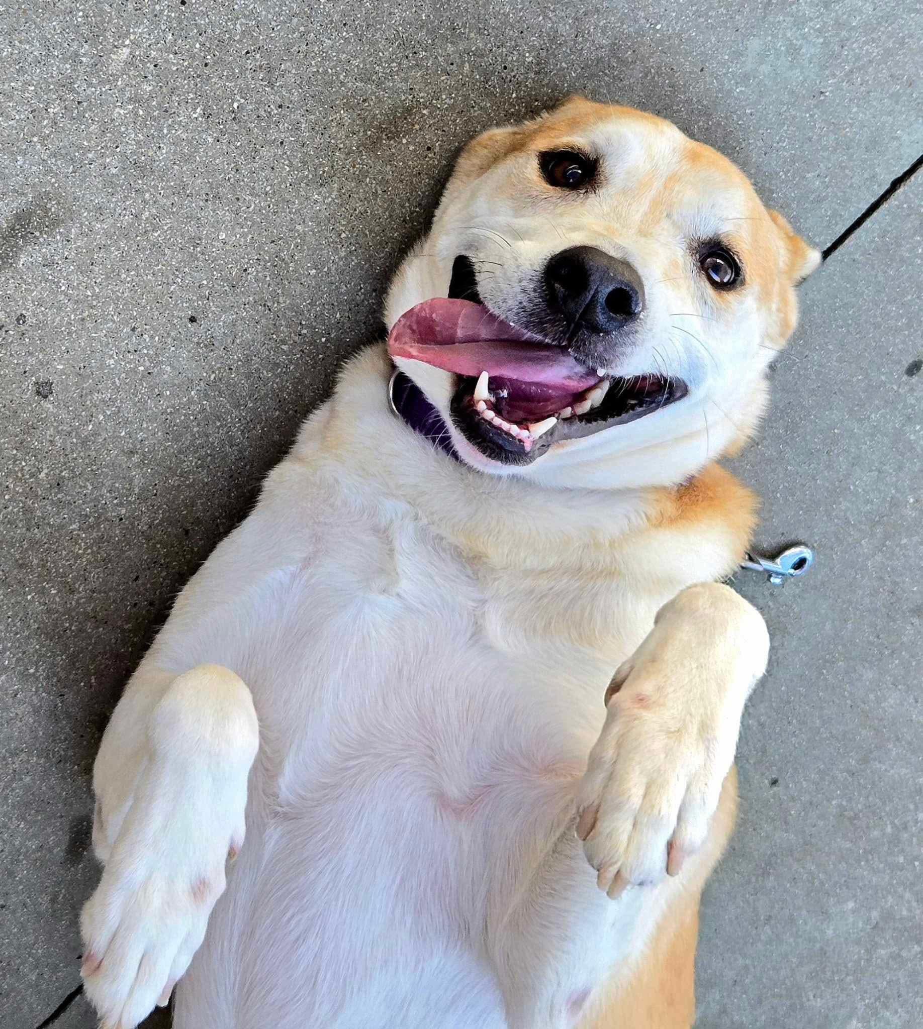 Lalah (20250702-10) — thumbnail 3