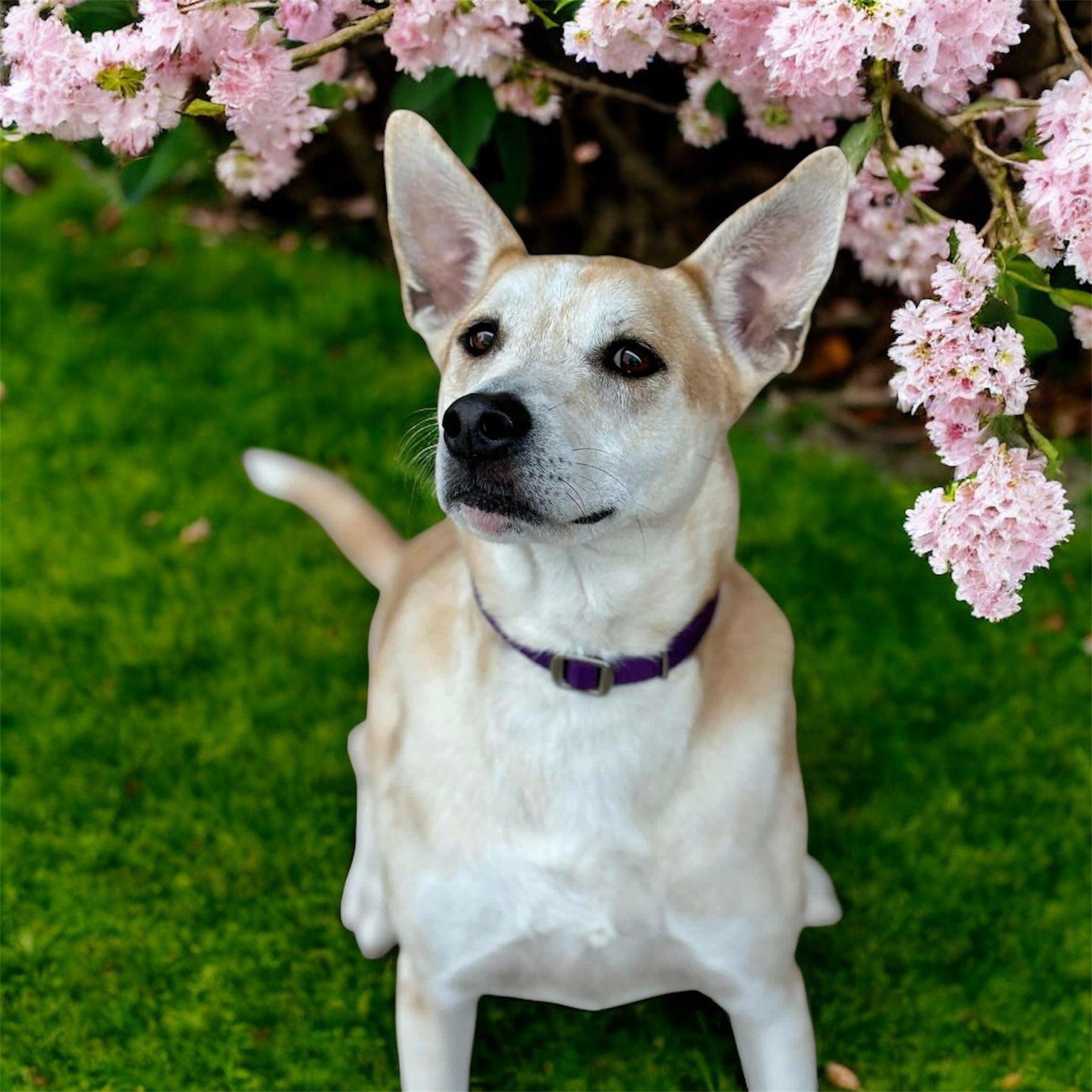 Lalah (20250702-10) — thumbnail 6