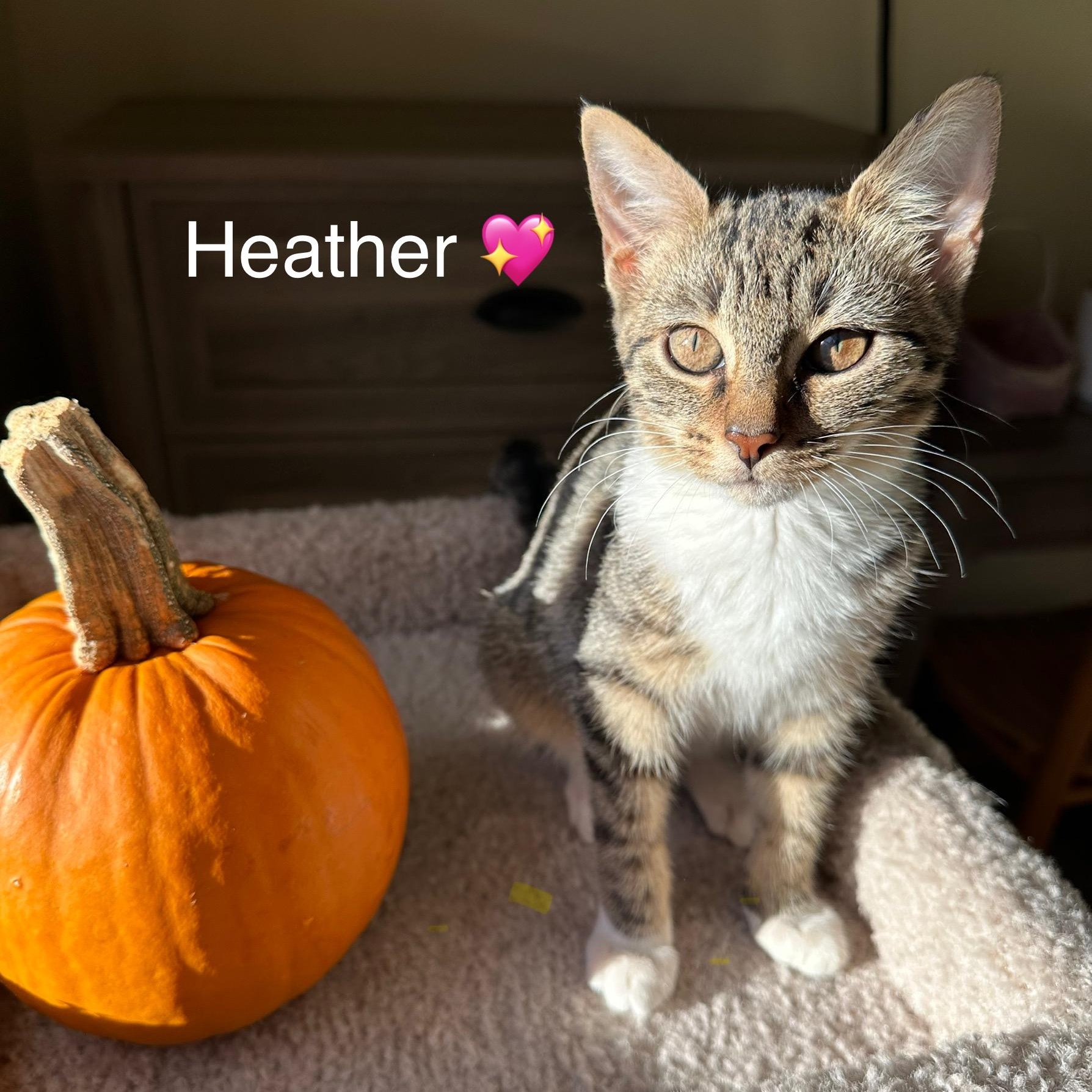 Heather