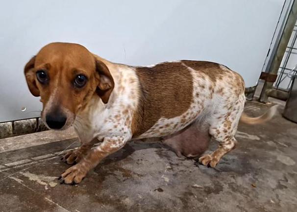 China — thumbnail 3