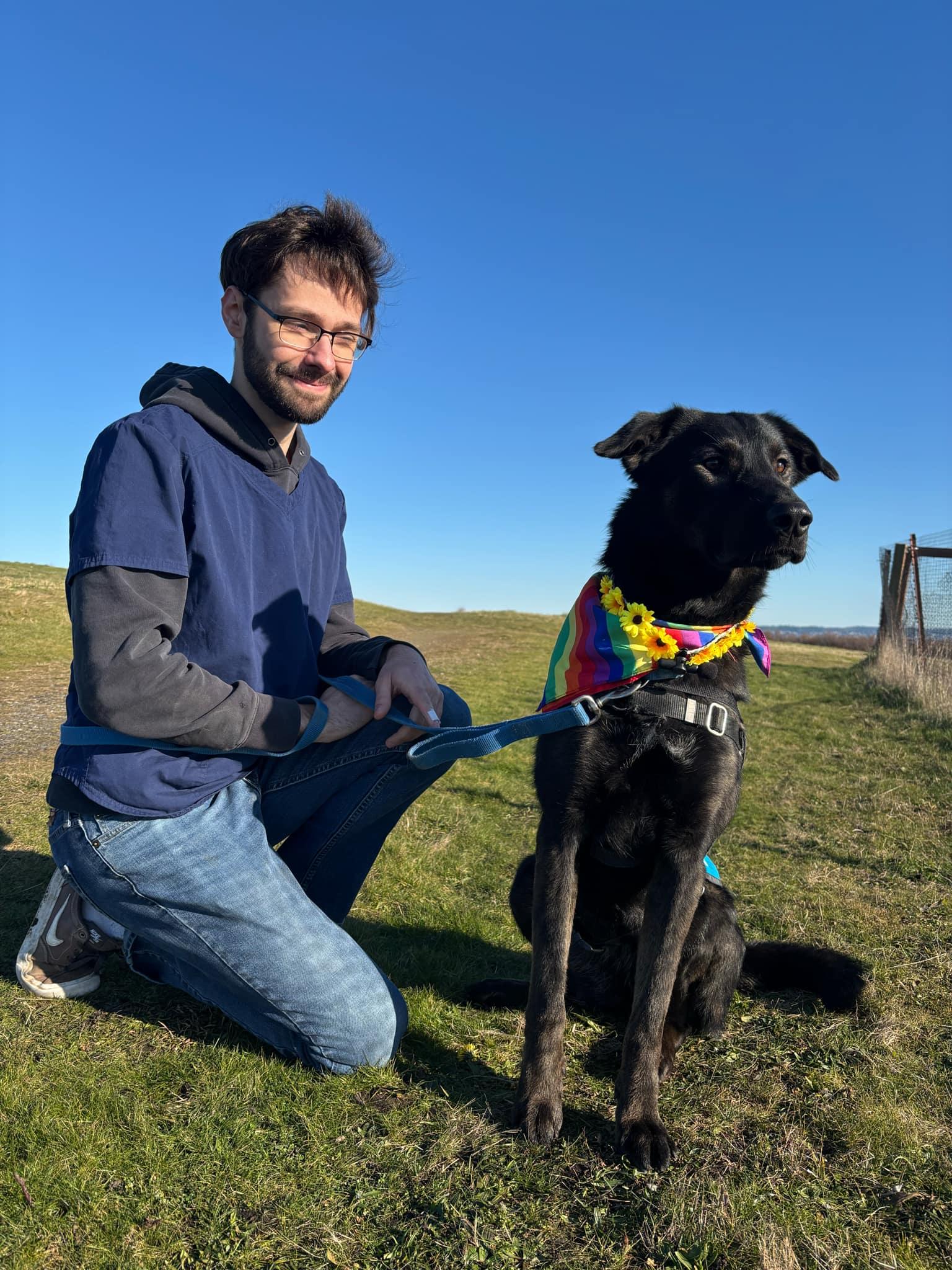Enlarge Velma, a Adoptable Belgian Shepherd / Malinois in Coupeville, WA image 3/5