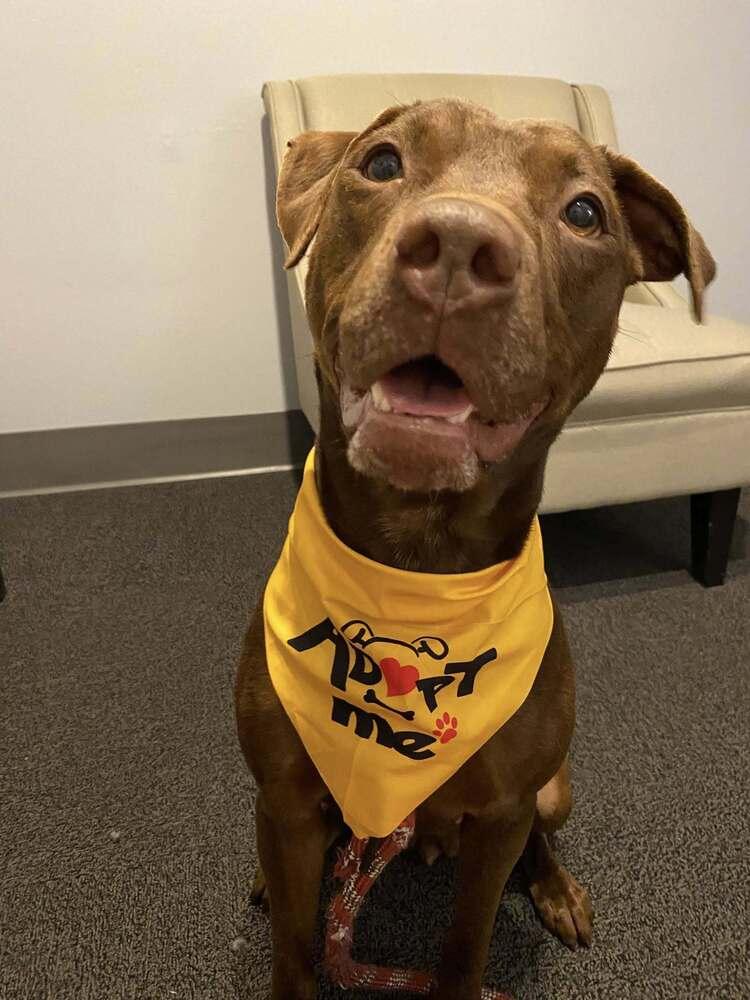 Adrian — thumbnail 3