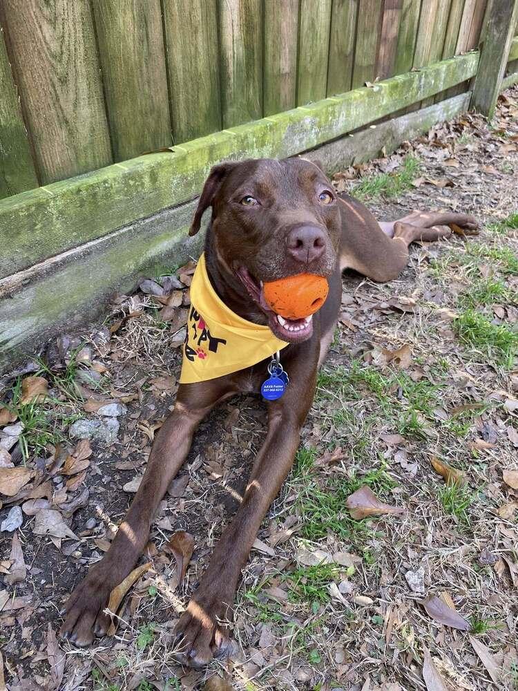 Adrian — thumbnail 5