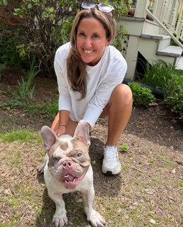 Screech, a Adopted French Bulldog in Framingham, MA image 1/3