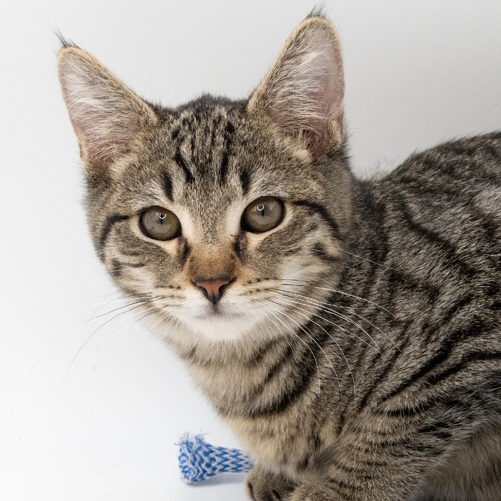 Tyler — thumbnail 2