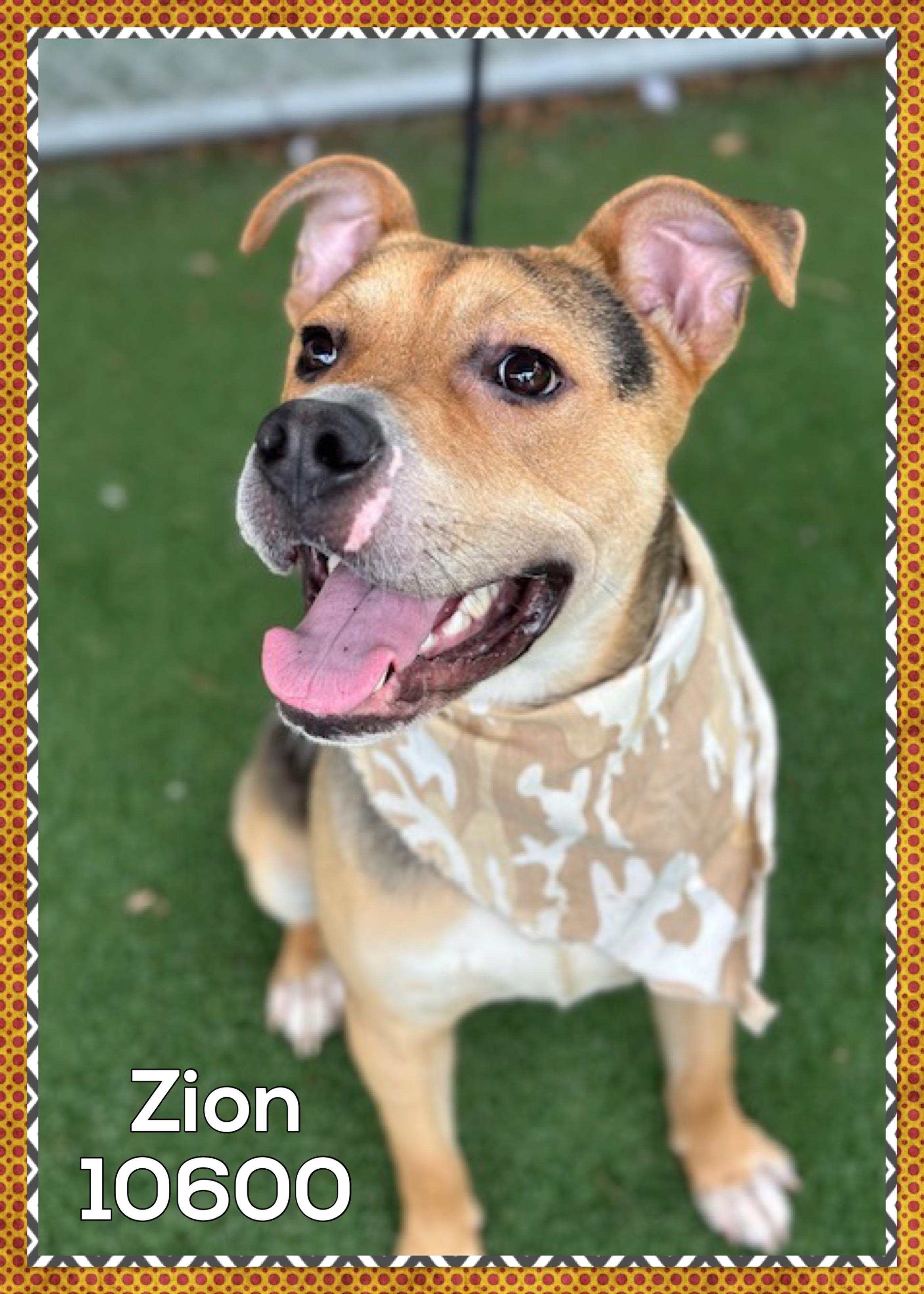 Zion